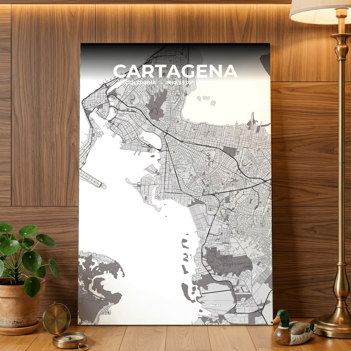 Cartagena Ash Map Poster