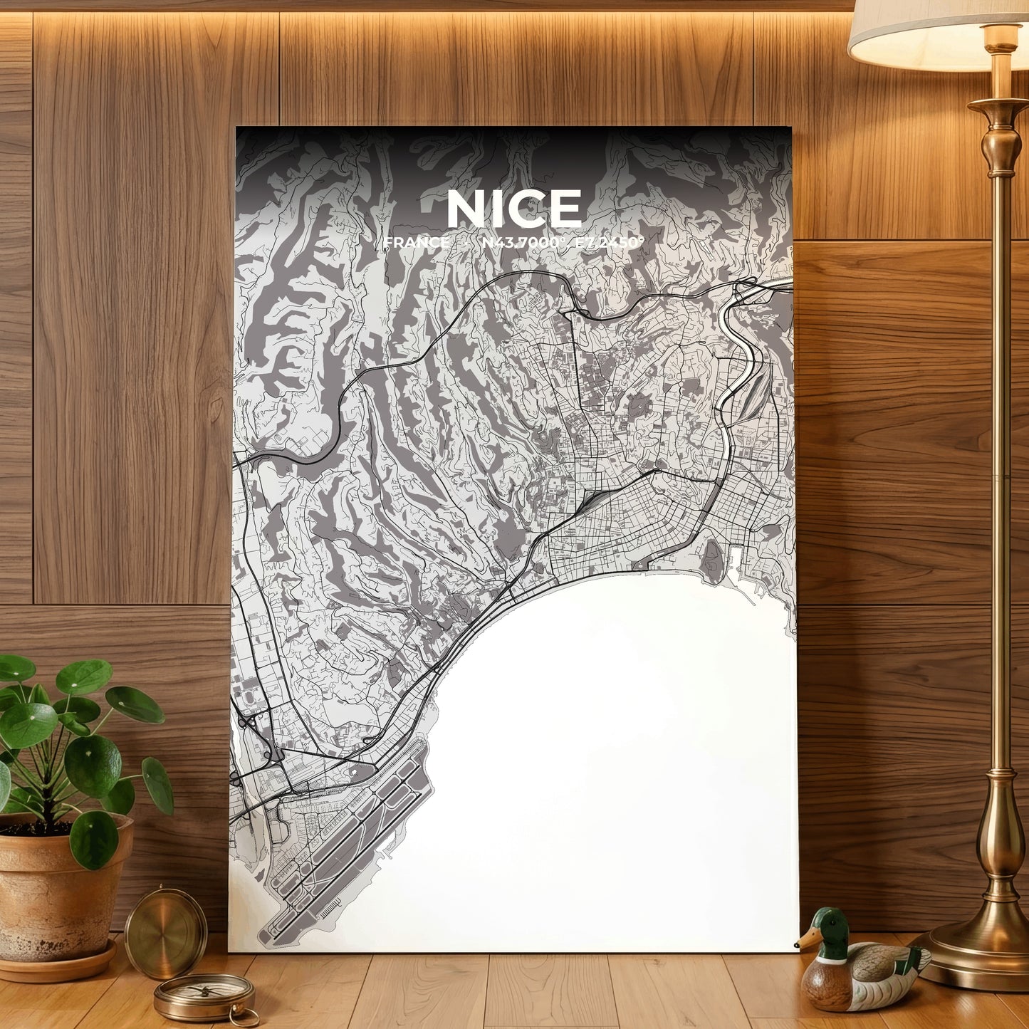 Nice Ash Map Poster